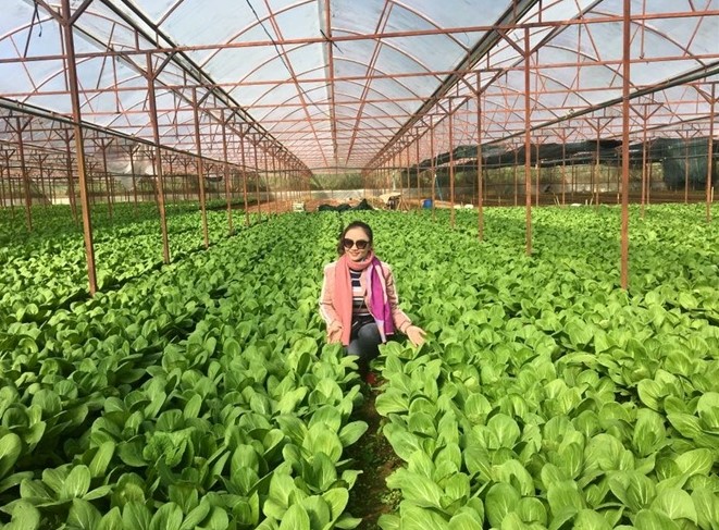 Nông nghiệp hữu cơ hội nhập thị trường Việt Nam trong thời gian tới